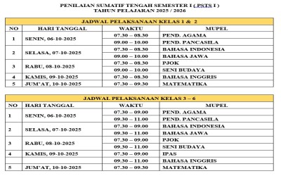 INFORMASI STS 1